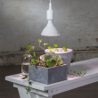 Grow Lamp Grow Lamp