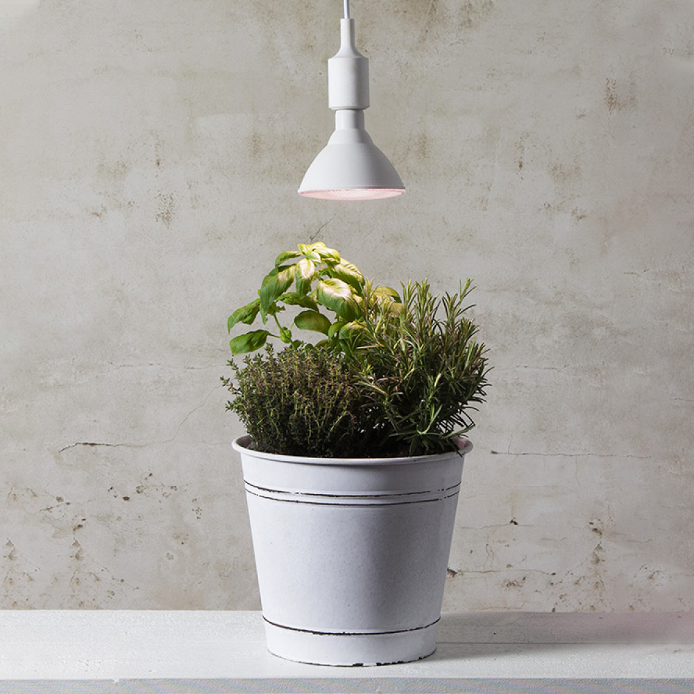 Grow Lamp in the group House & Home / Garden / Cultivation at SmartaSaker.se (11638)