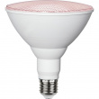 Grow Lamp Grow Lamp