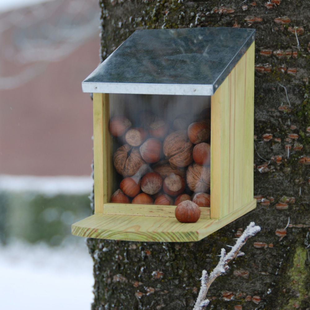 Squirrel feeder in the group House & Home / Garden / Nests and hotels at SmartaSaker.se (11820)