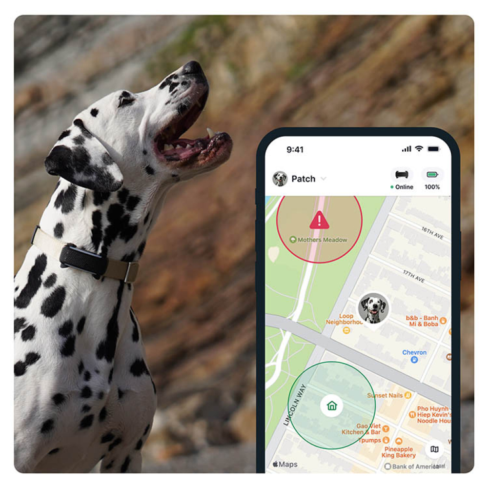 GPS for dogs, Tractive in the group Leisure / Pets / Dog stuff at SmartaSaker.se (11853)