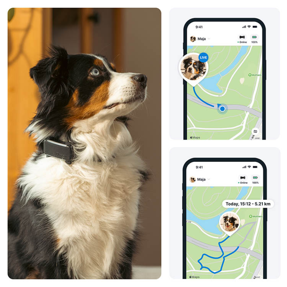 GPS for dogs, Tractive in the group Leisure / Pets / Dog stuff at SmartaSaker.se (11853)