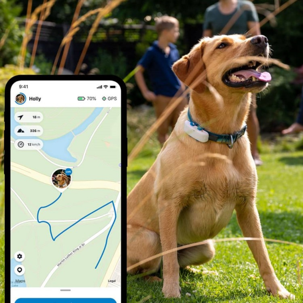 can you get a tracker for your dog