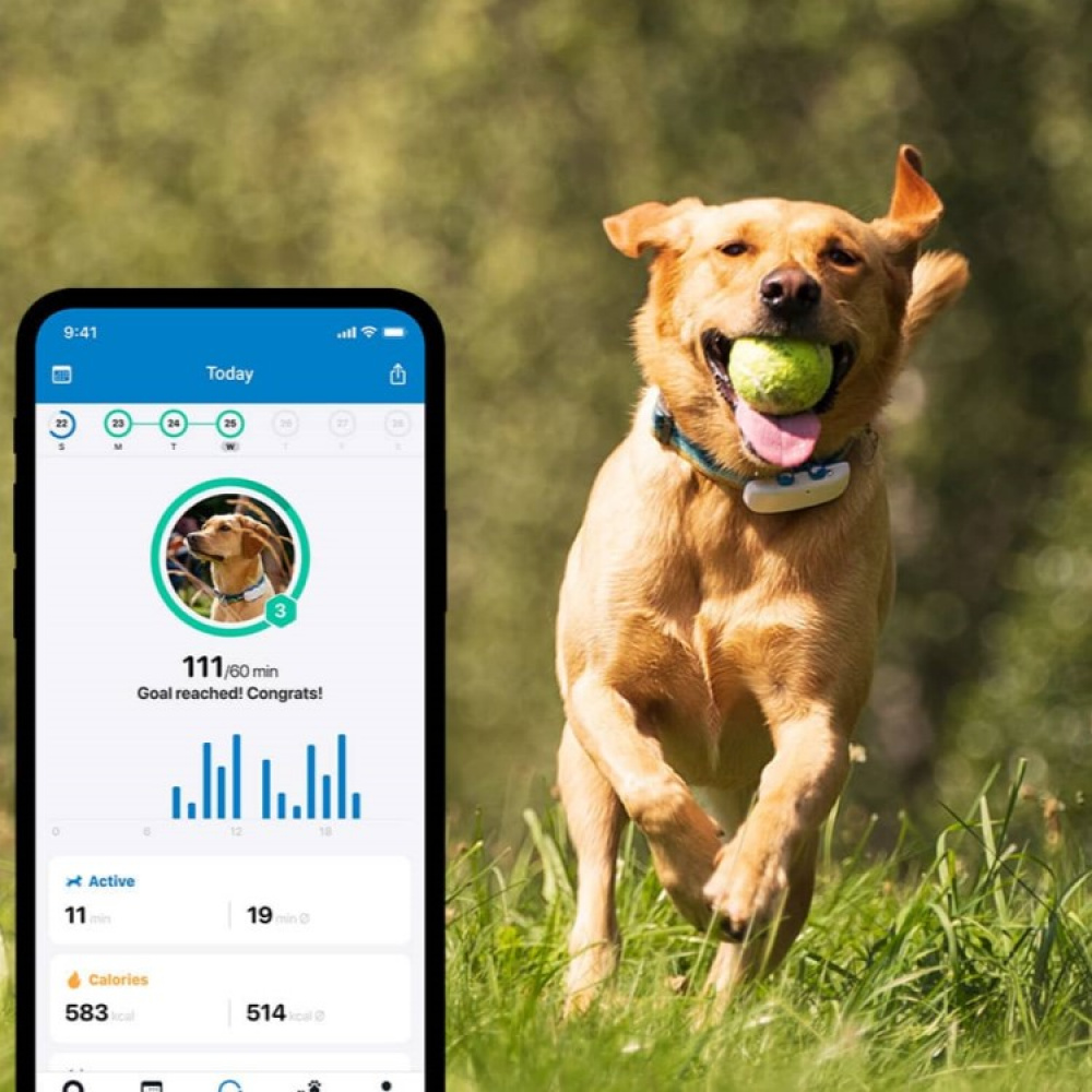 GPS for dogs in the group Leisure / Pets / Dog stuff at SmartaSaker.se (11853)