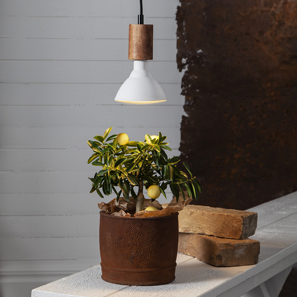 Plant Lamp in the group House & Home / Garden / Cultivation at SmartaSaker.se (11871)