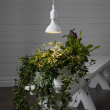 Plant Lamp