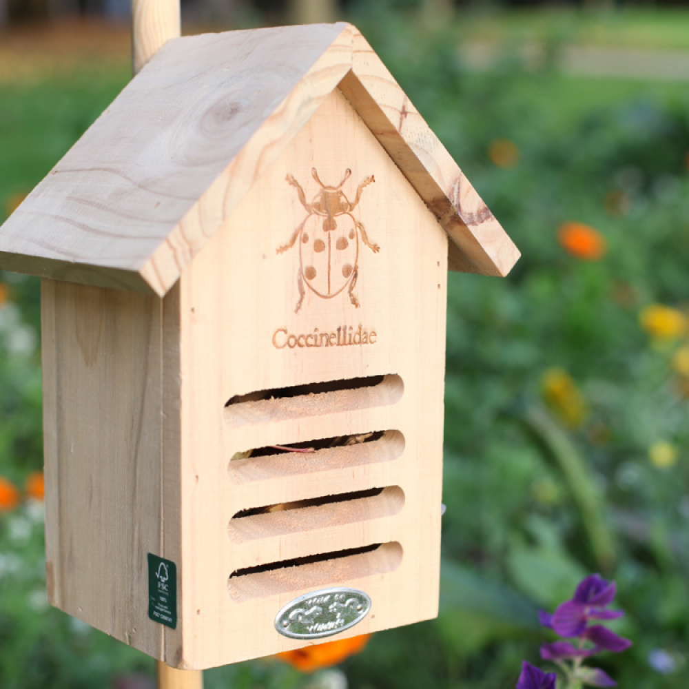 Ladybug House in the group Gift Suggestions / Personalised gifts / Gift for gardening enthusiasts at SmartaSaker.se (11887)