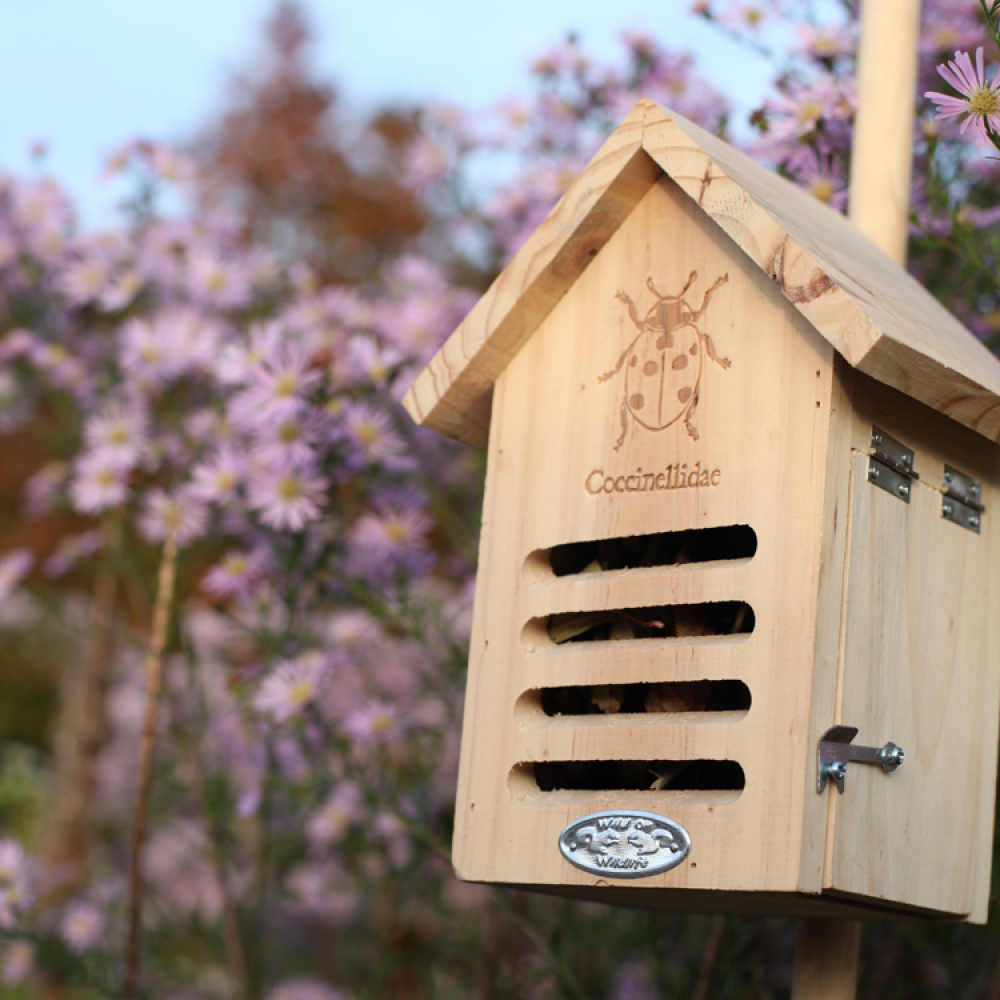 Ladybug House in the group House & Home / Garden / Nests and hotels at SmartaSaker.se (11887)