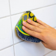 Scratch-Free Scrubbing Cloth Scratch-Free Scrubbing Cloth