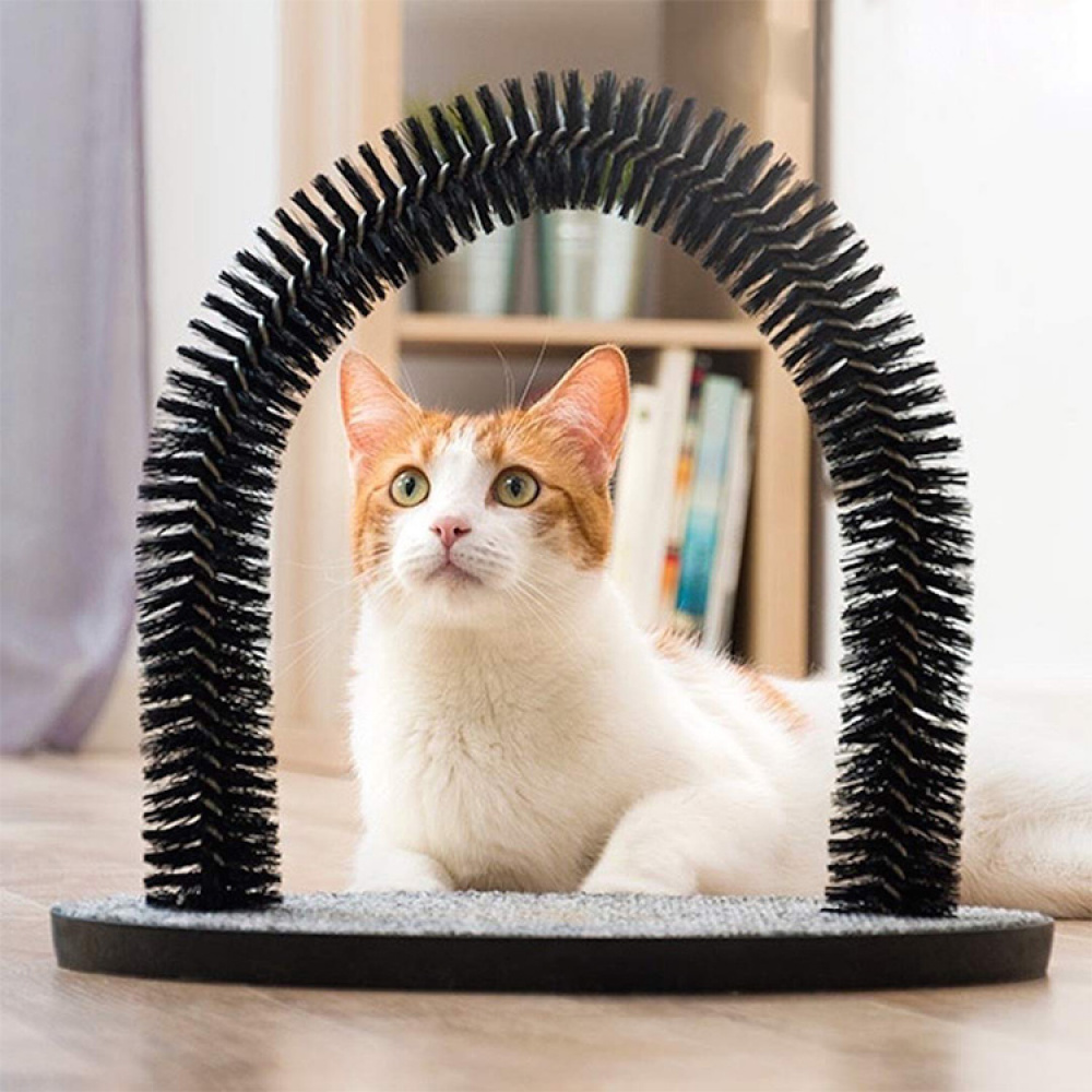 Cat Arch in the group Leisure / Pets / Cat stuff at SmartaSaker.se (12213)