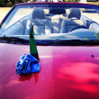 Environmentally-Smart Car Wash Cleaner