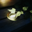 Solar powered decklight