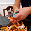 Seafood Scissors
