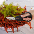 Seafood Scissors