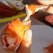 Seafood Scissors