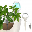 Plant waterer