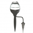 Plant waterer