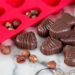 Silicone nut chocolate mould