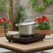 Portable induction stove 
