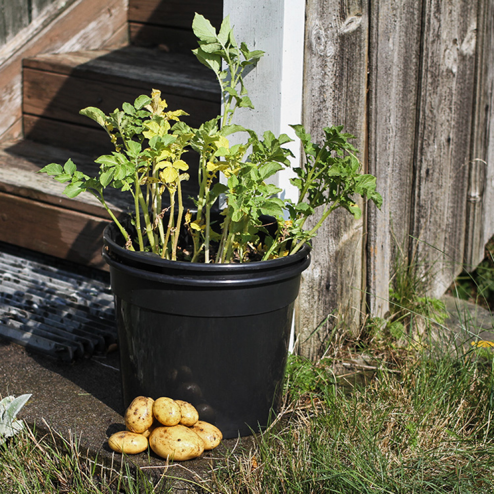 Potato pot in the group House & Home / Garden / Cultivation at SmartaSaker.se (12644)
