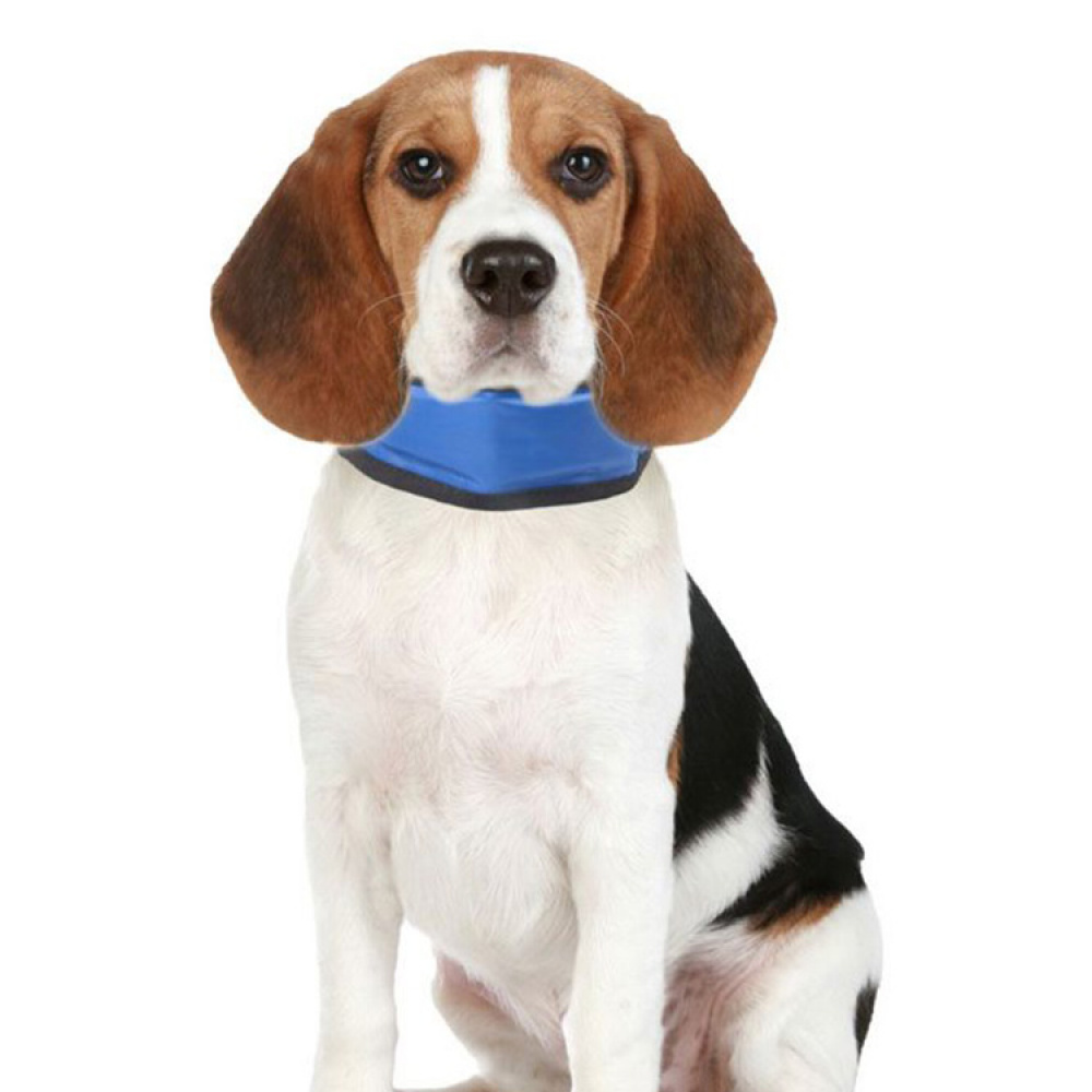 Cooling bandanna for dogs in the group Leisure / Pets / Dog stuff at SmartaSaker.se (12705)