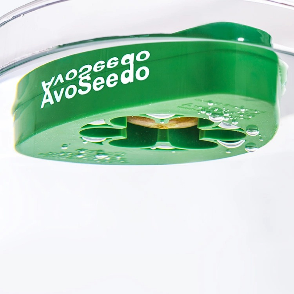 AvoSeedo - grow your very own avocado tree! in the group House & Home / Garden / Cultivation at SmartaSaker.se (12772)