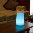 Lantern with Wireless Speaker