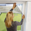 Insect net for windows Insect net for windows
