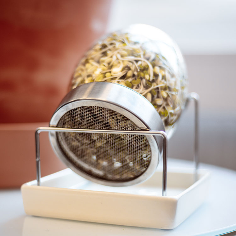 Glass sprouting jar Grow sprouts, seeds and beans SmartaSaker