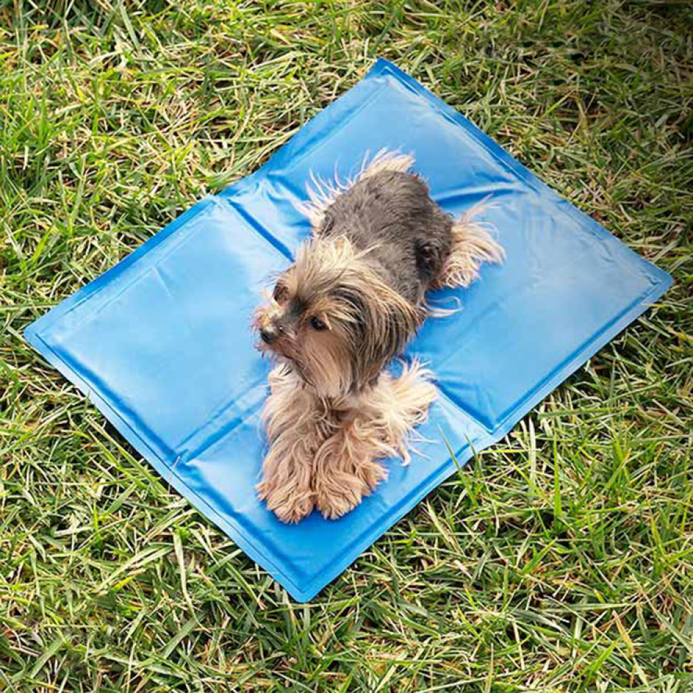 Cooling dog mat in the group Leisure / Pets / Dog stuff at SmartaSaker.se (12954)