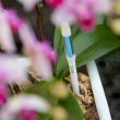 Moisture measurer for potted plants