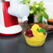 Salad and Sorbet maker