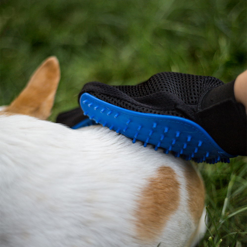 Brush glove for dog & cat in the group Leisure / Pets at SmartaSaker.se (12977)