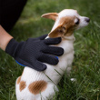 Brush glove for dog & cat