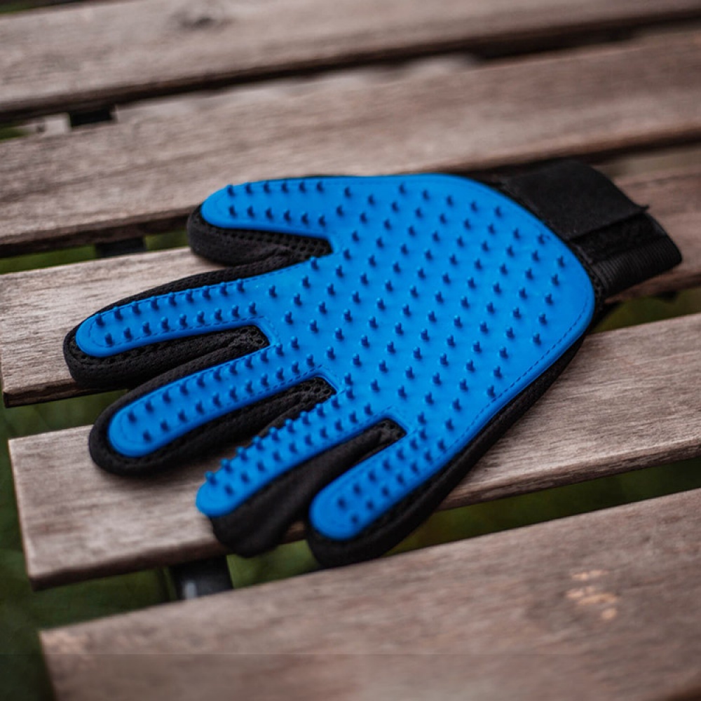 Brush glove for dog & cat in the group Leisure / Pets at SmartaSaker.se (12977)