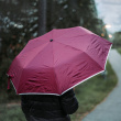 Umbrella with reflective edge Umbrella with reflective edge