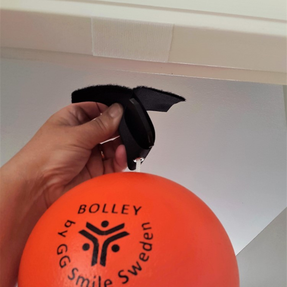 Bolley exercise ball in the group Leisure / Games at SmartaSaker.se (12984)