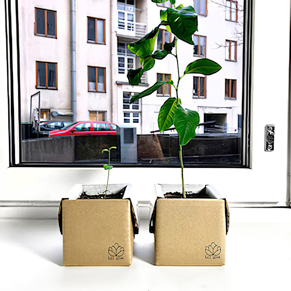 Tree kit in the group House & Home / Garden / Cultivation at SmartaSaker.se (13070)