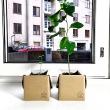 Tree kit Tree kit