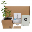 Tree kit Tree kit
