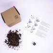 Tree kit Tree kit