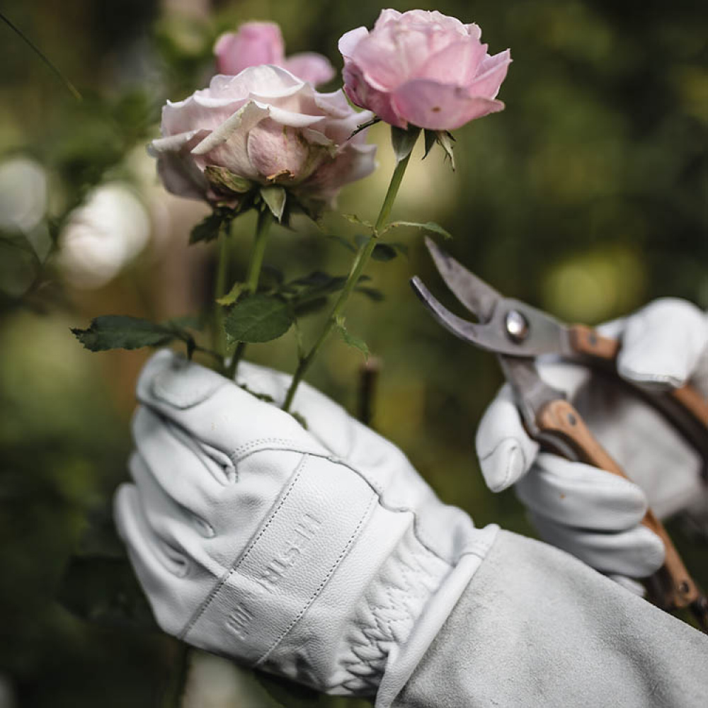 Rose Gloves in the group House & Home / Garden at SmartaSaker.se (13112)