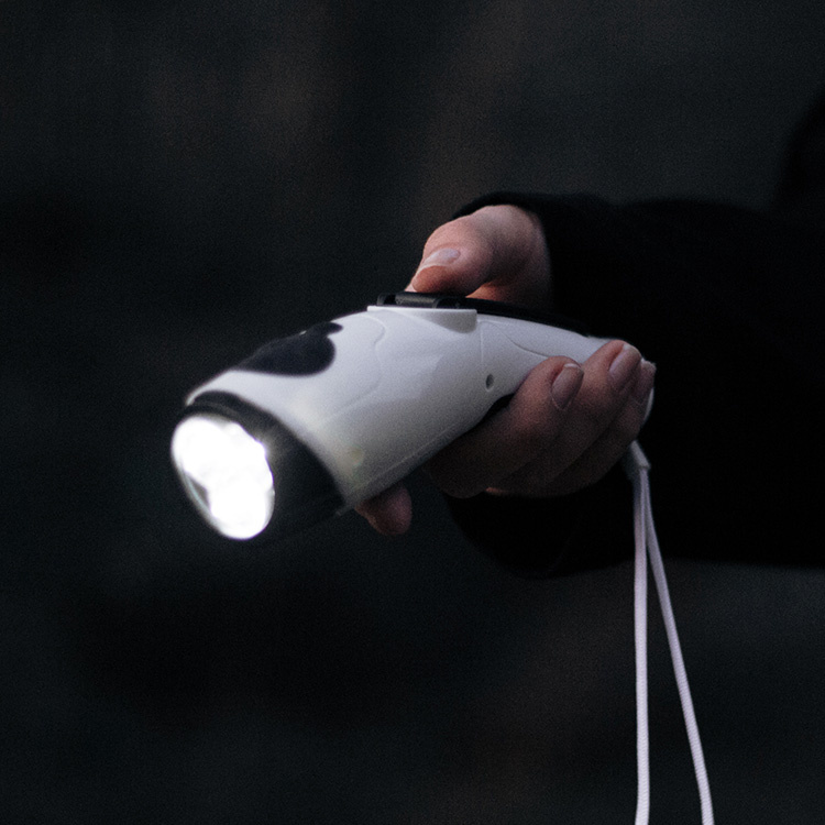 Wind-Up Dynamo Torch and Radio in the group Safety / Emergency Preparedness at SmartaSaker.se (13154)