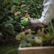 Bamboo Gardening Gloves Bamboo Gardening Gloves
