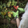 Bamboo Gardening Gloves Bamboo Gardening Gloves