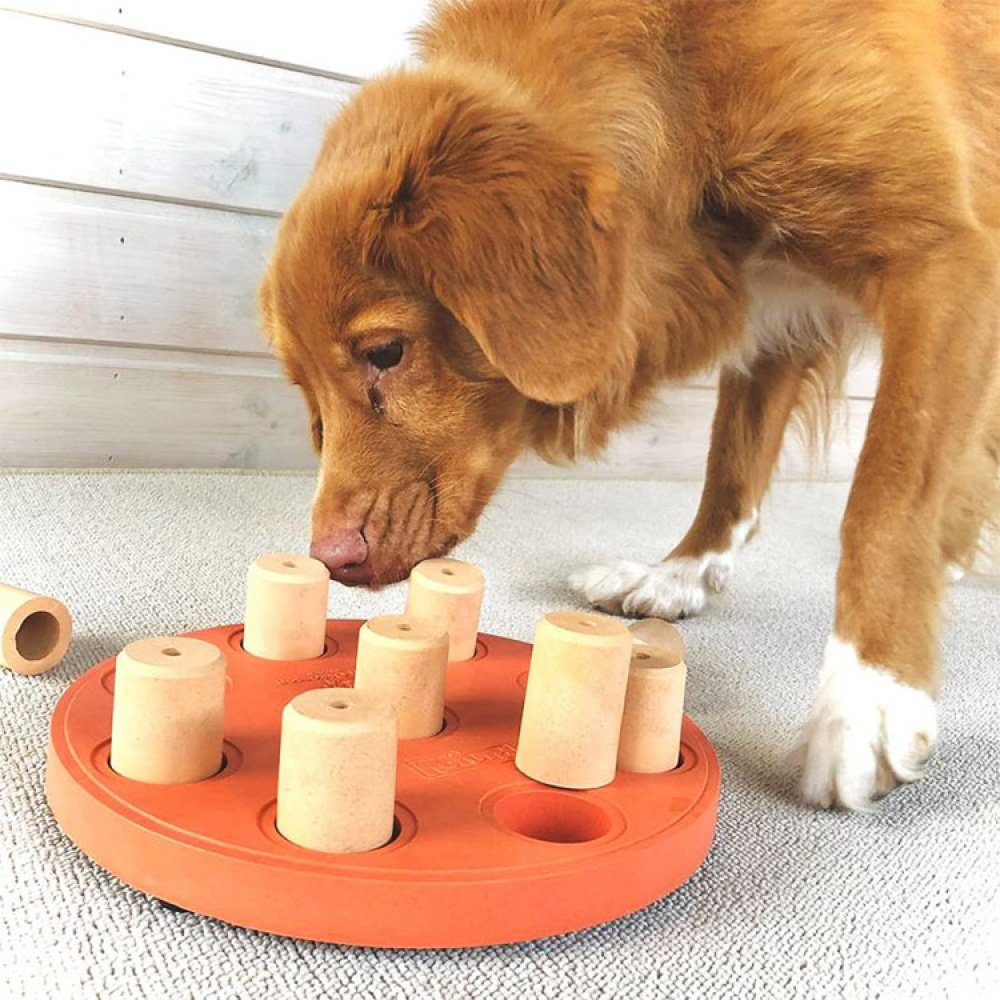 Activity Games for Dogs Clever games to stimulate your dog SmartaSaker
