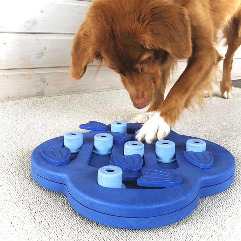 Activity Games for Dogs in the group Leisure / Pets at SmartaSaker.se (13238)