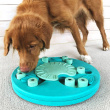 Activity Games for Dogs