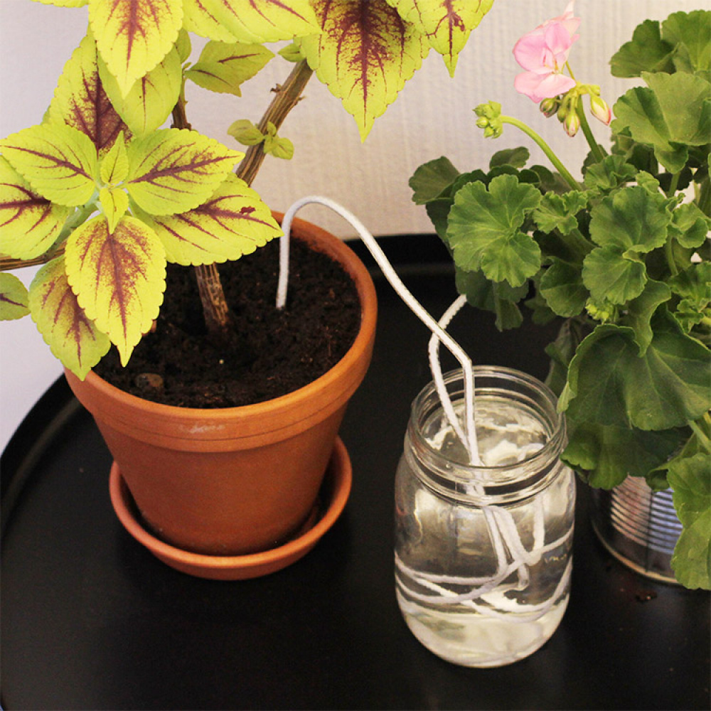 Watering Wick, pack of five in the group House & Home / Garden / Irrigation at SmartaSaker.se (13245)