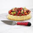 Musical Cake Knife